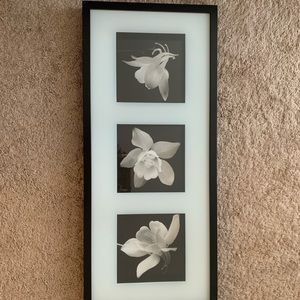 COPY - Famed flower photos